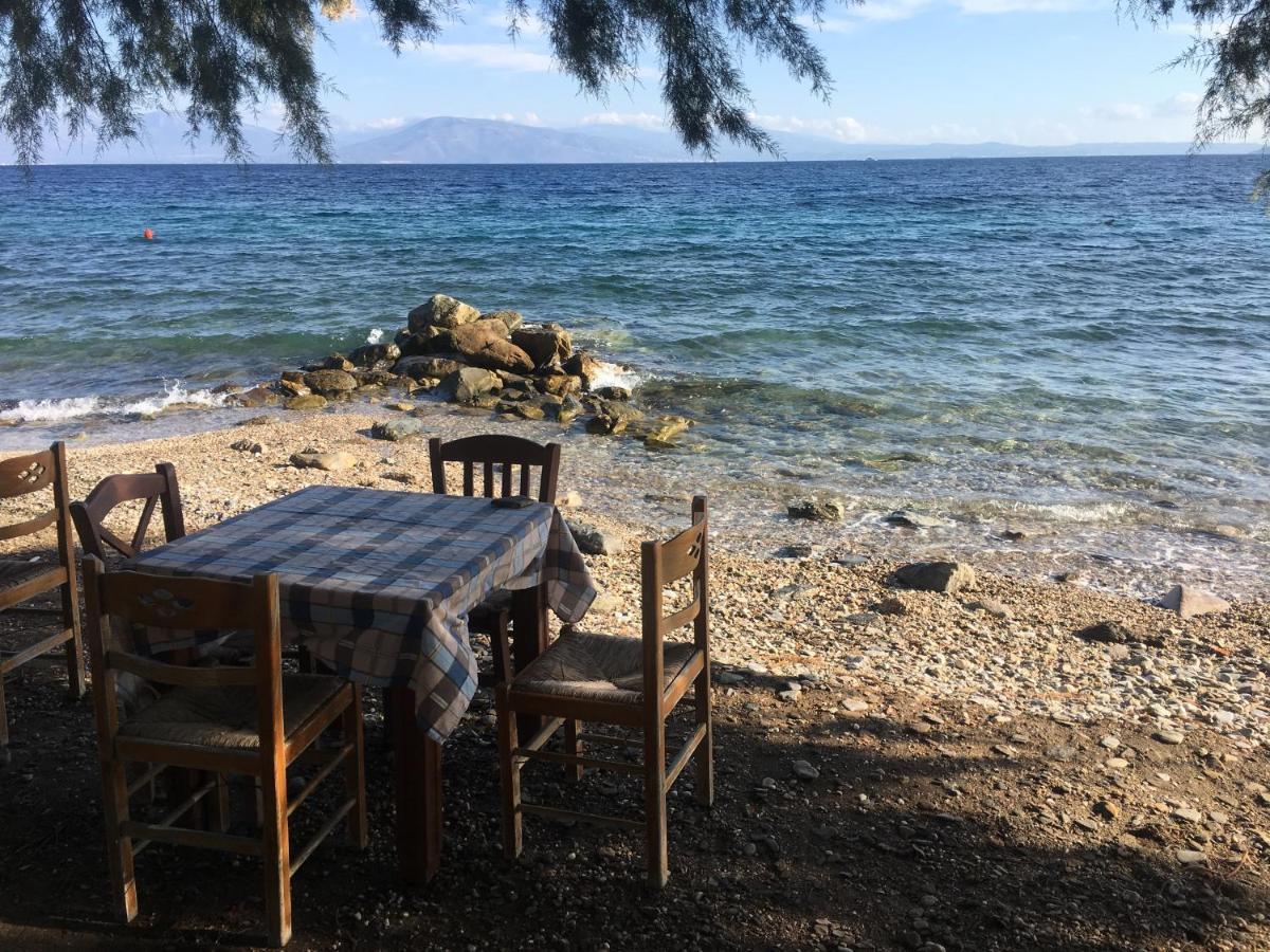Appartamento Eratous Seaside House Varnavas Esterno foto